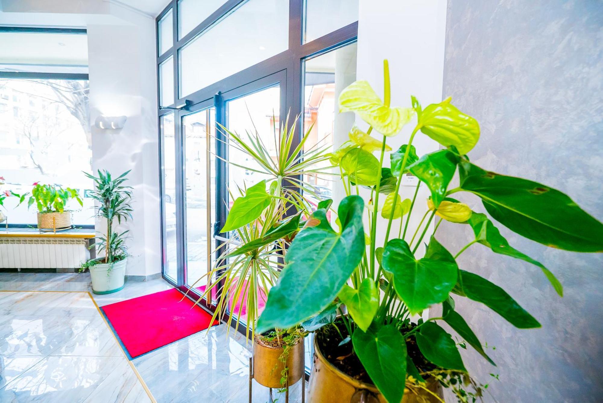 Guci Hotel Köstence Dış mekan fotoğraf